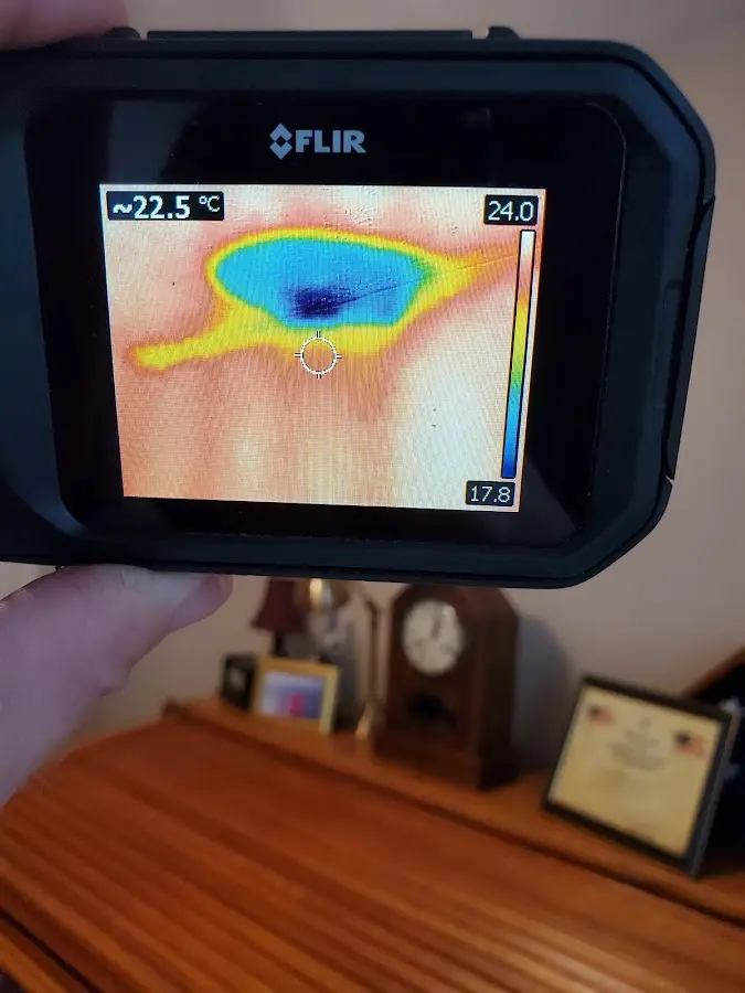 Thermal imaging inspection for water damage in Lower Southampton