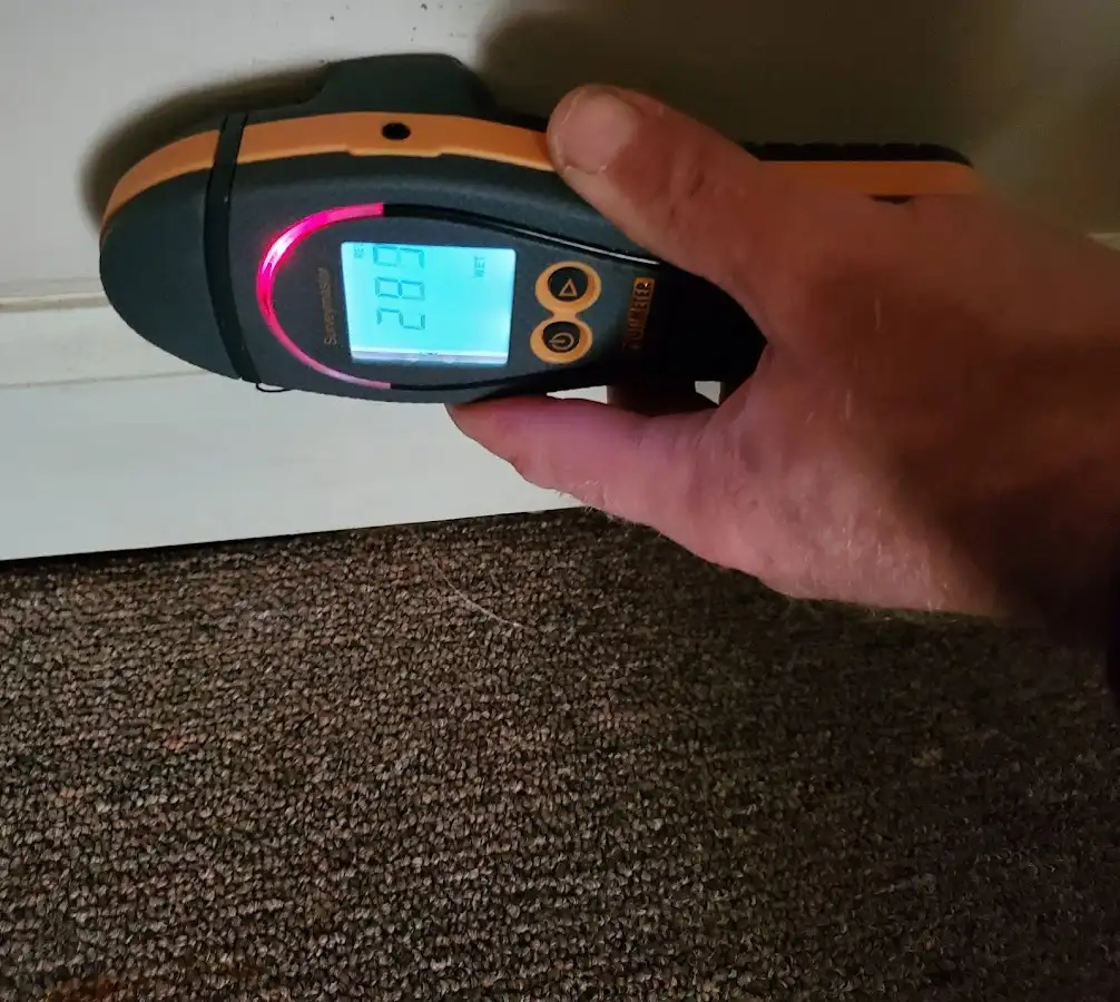 Moisture detection at baseboard during Sewage Cleanup & Sanitation in Lower Southampton